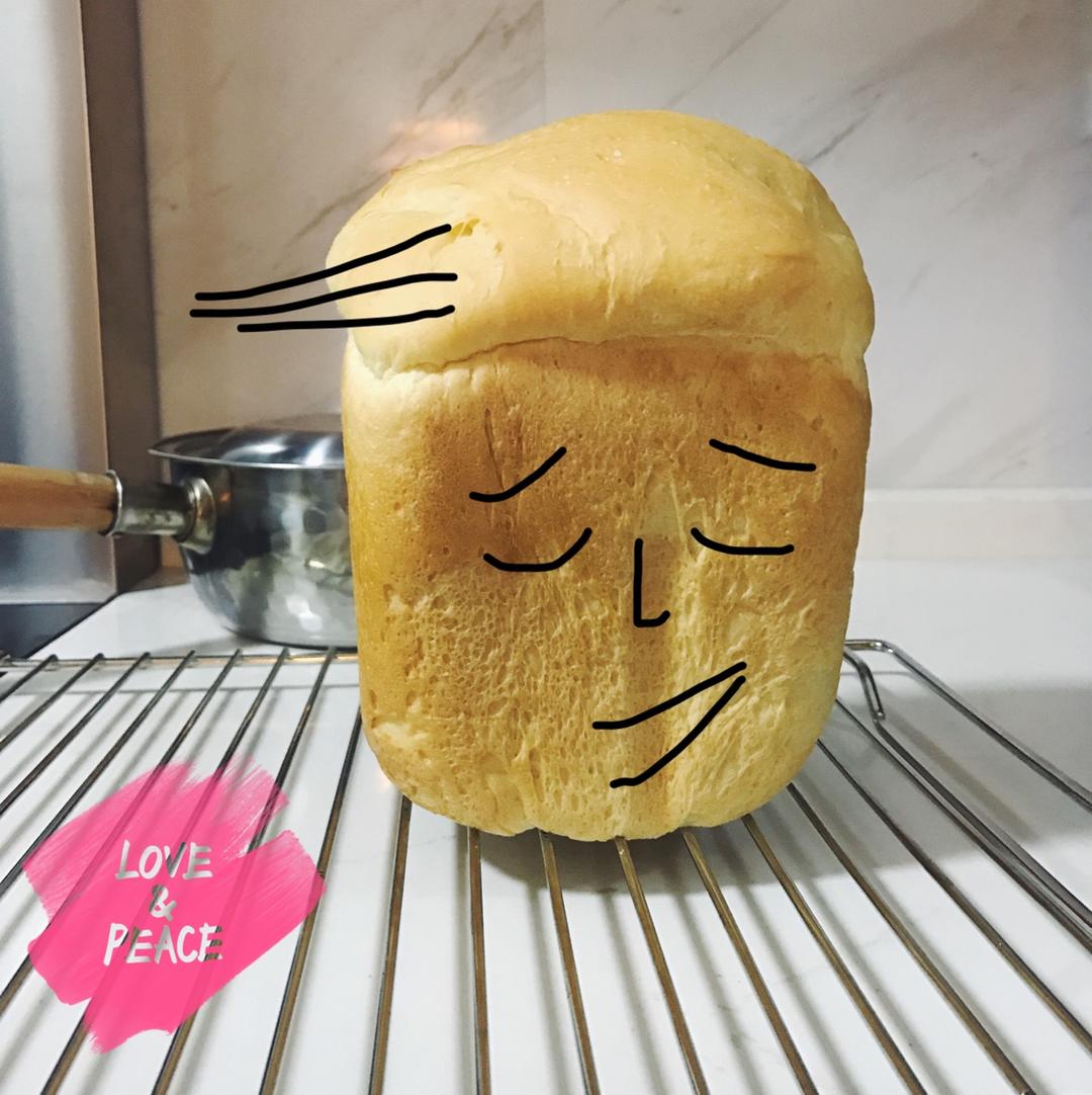 白土司庞多米--松下面包机