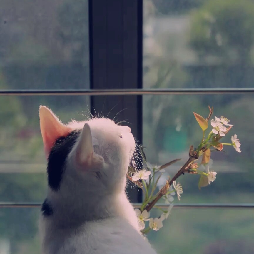 春九穗子