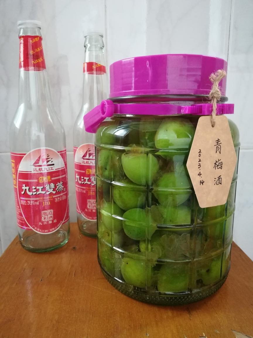 零失败【青梅酒 & 梅子露】梅子的沉淀岁月