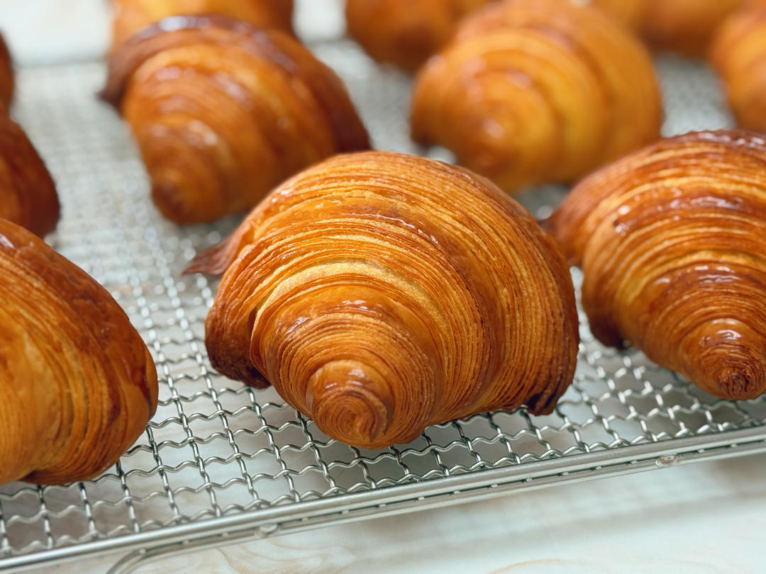 基础可颂练习（24.12备忘）