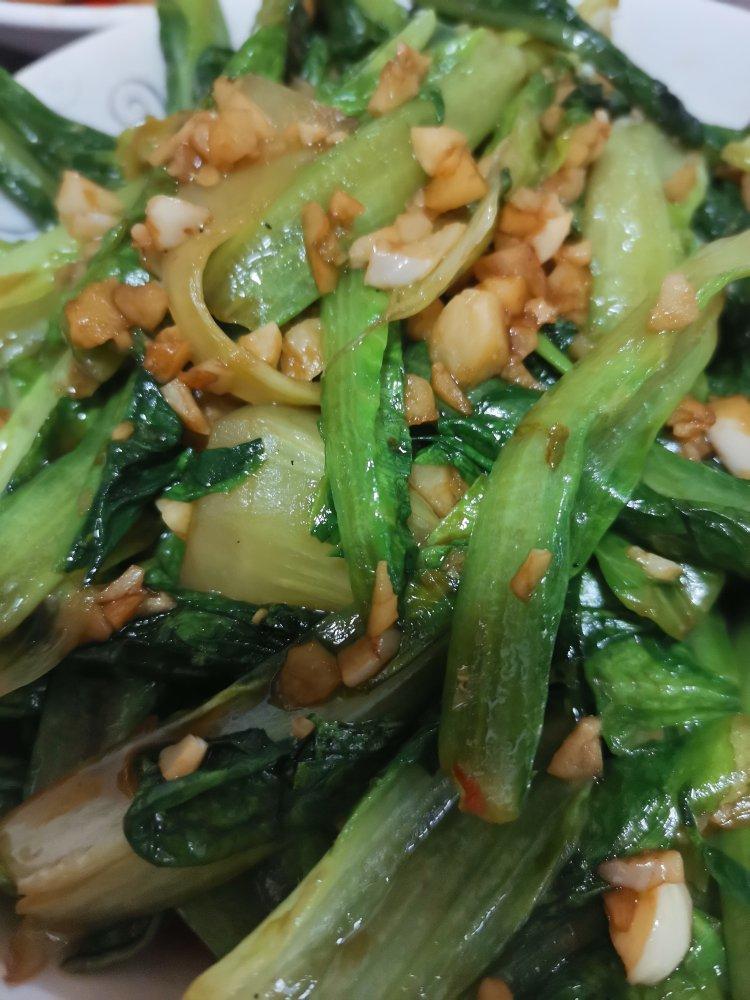 蒜蓉油麦菜（蚝油）
