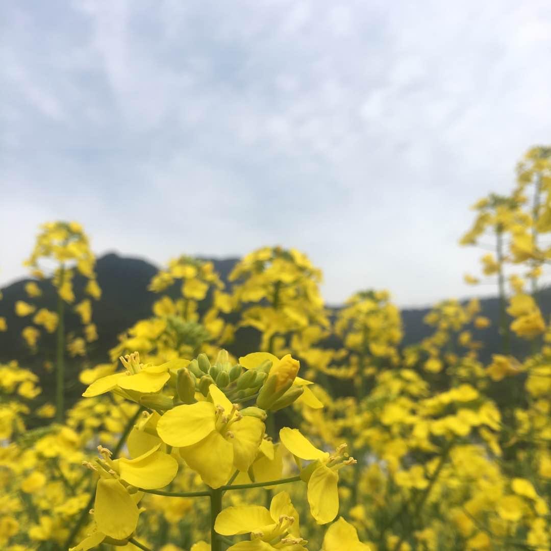 小静子要加油