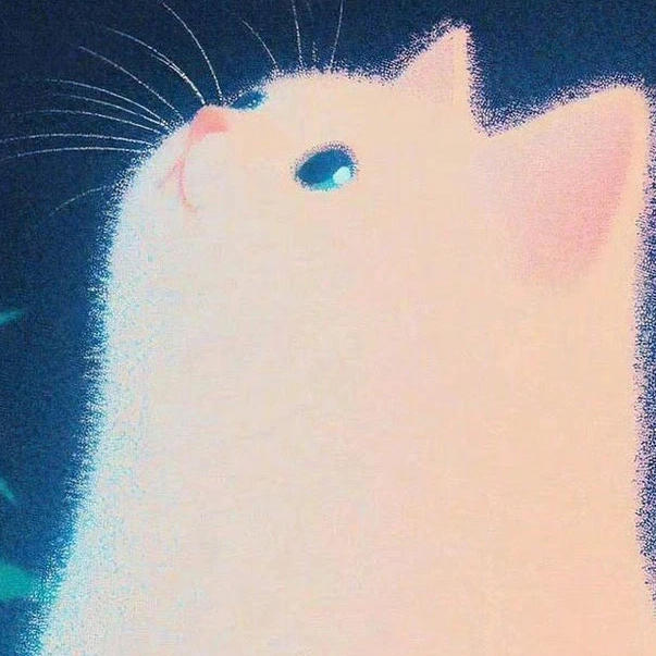猫咪吖