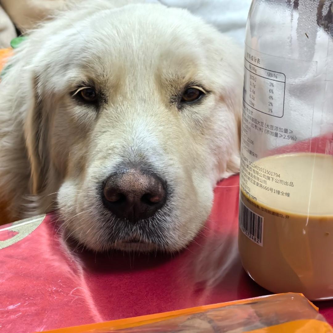 杯壁苹果