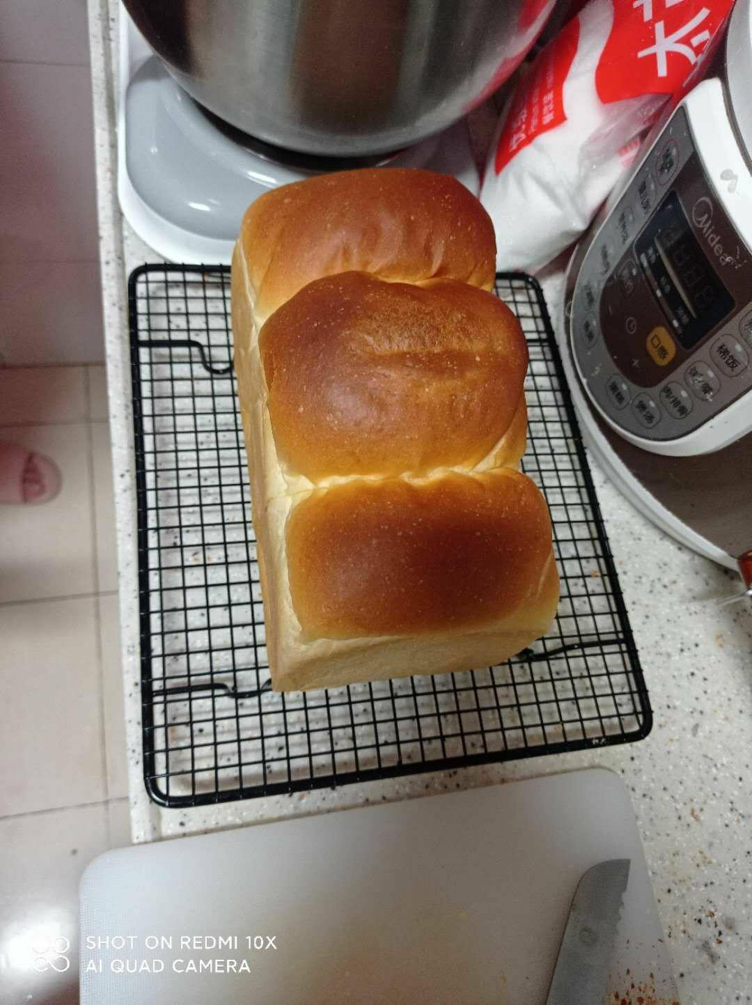 🌟只需一发的软妹子🌟奶香吐司🍞
