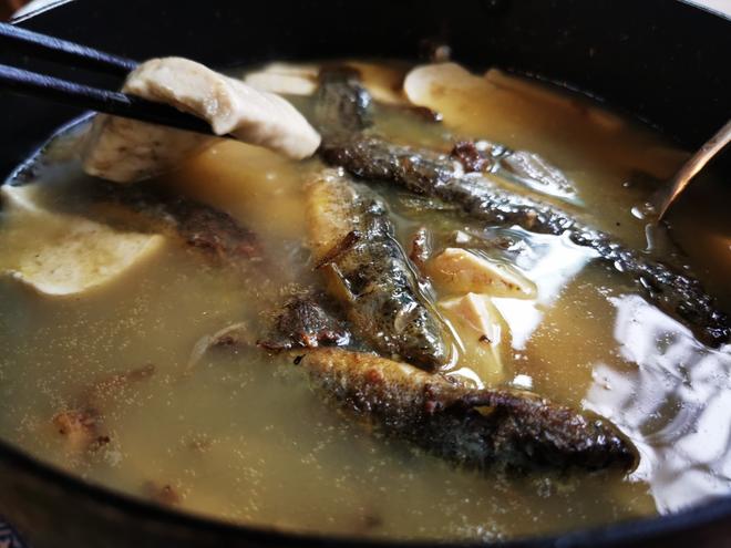 折耳根泥鳅豆腐汤的做法
