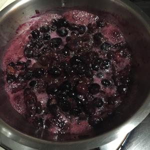 蓝莓鲜酿酵素的做法 步骤11