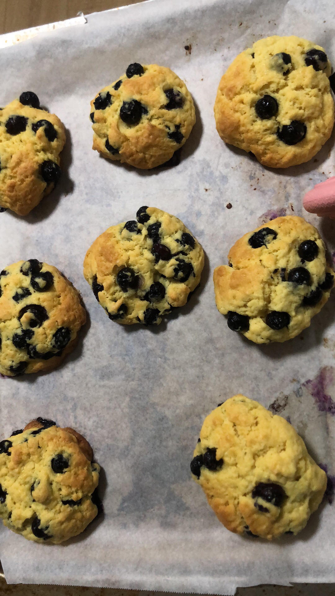 会爆浆的蓝莓大Cookie