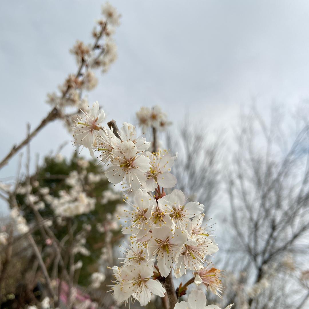 小白r的厨房