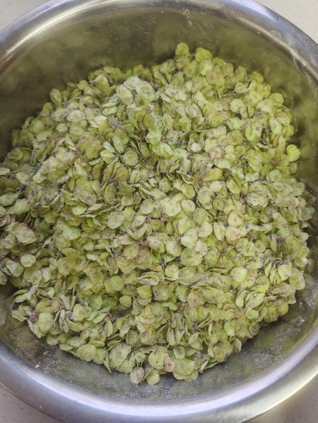 老妈秘方蒸菜蒸榆钱蒸洋槐花蒸野菜（有详细步骤）