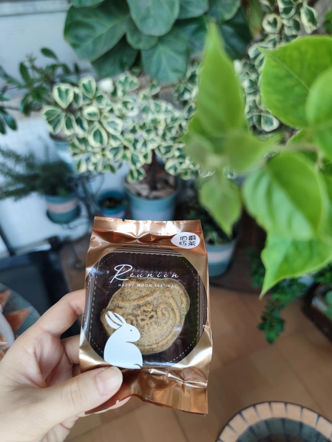 🥮双倍浓郁｜川宁伯爵红茶广式月饼｜自制茶香月饼馅料