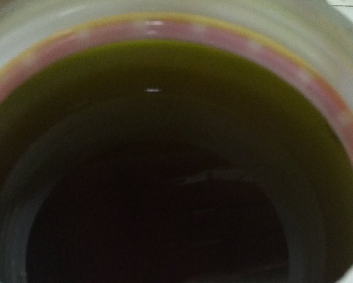 韭菜油的做法