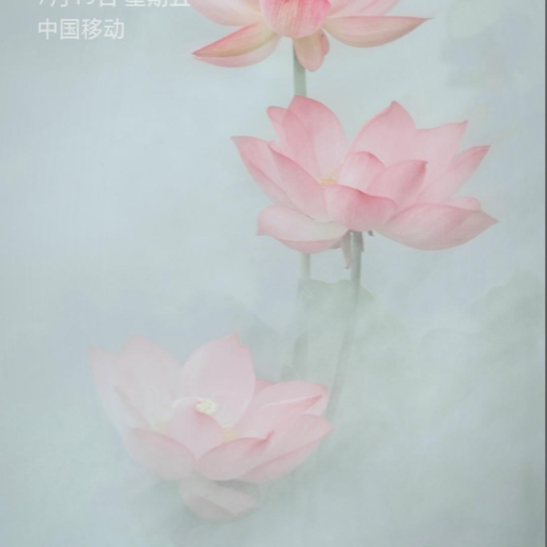zhen稀RLG