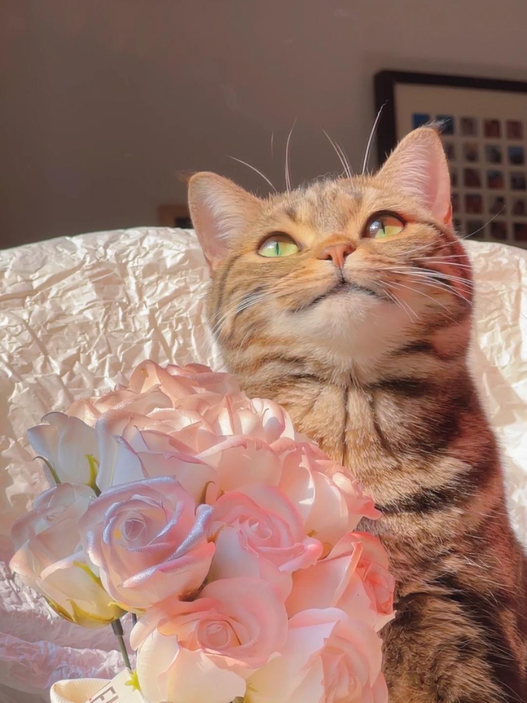 我只是随便做做