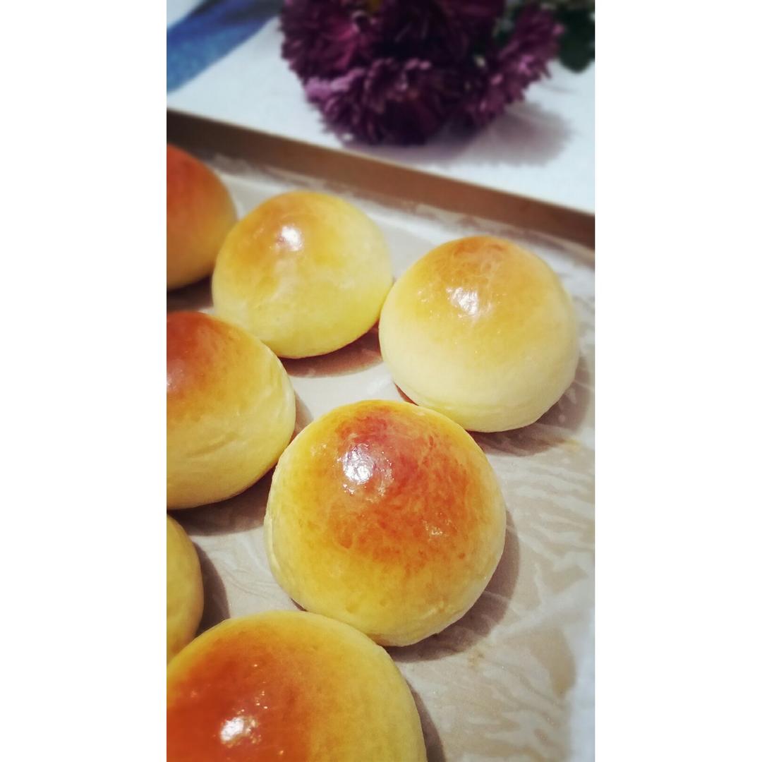 一次发酵——超级无敌懒人快手椰蓉小餐包