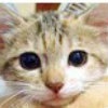 、丨★小满足╰♛