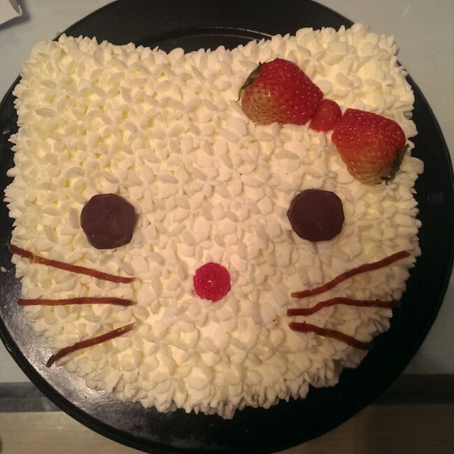 生日蛋糕&白色情人节｛HelloKitty凯蒂猫蛋糕｝