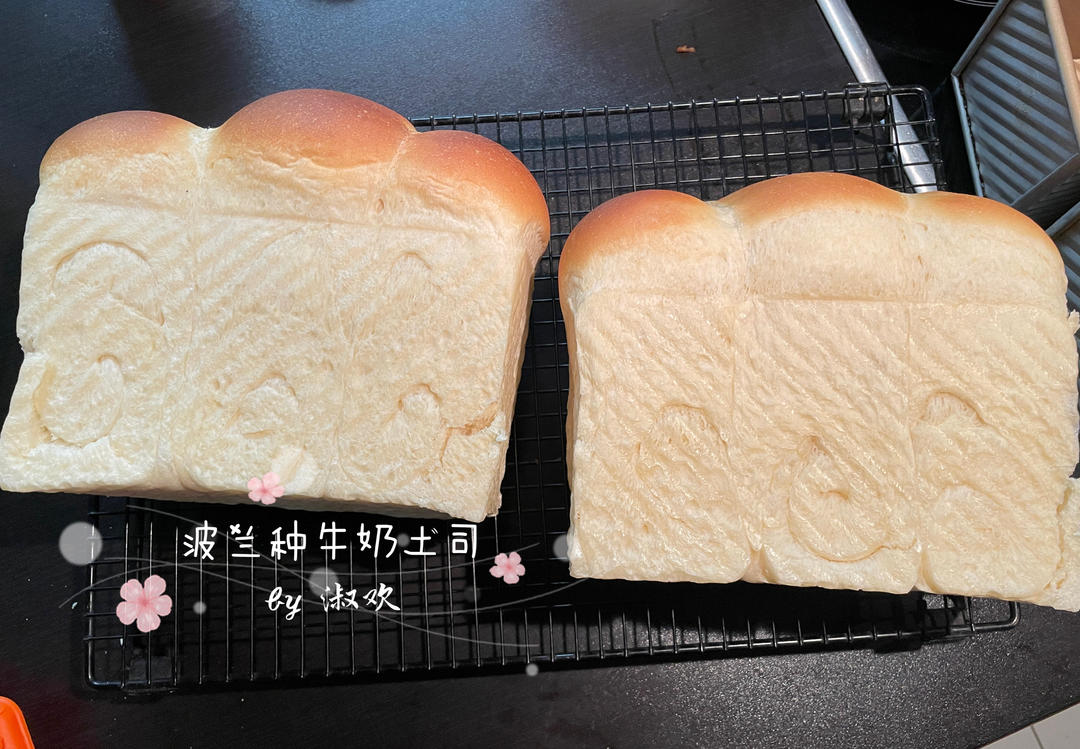 波兰种牛奶土司