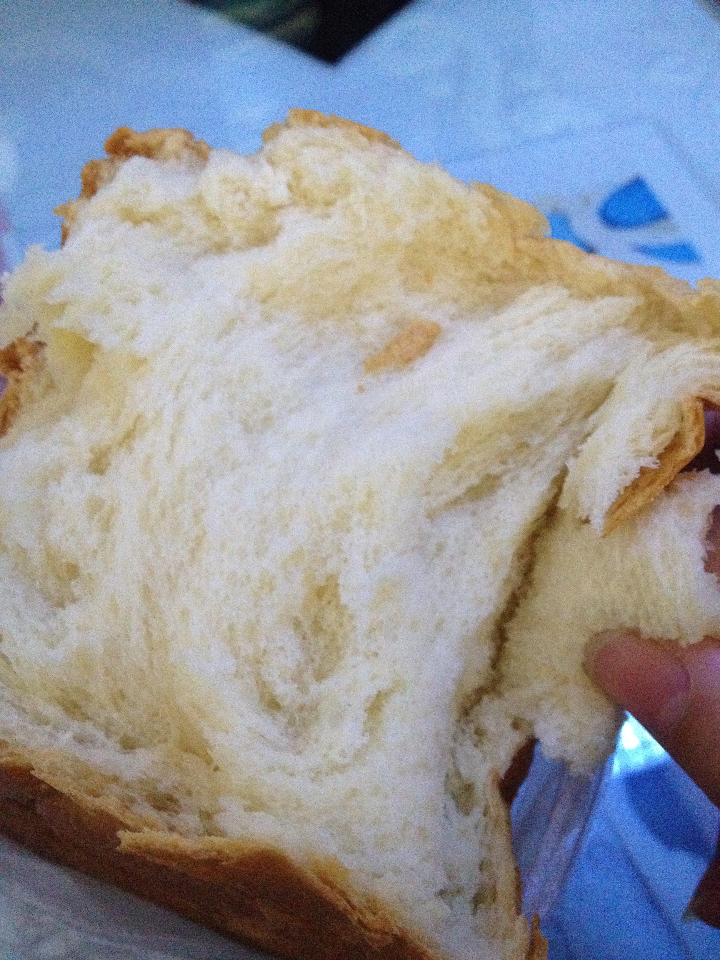 淡奶油哈斯面包