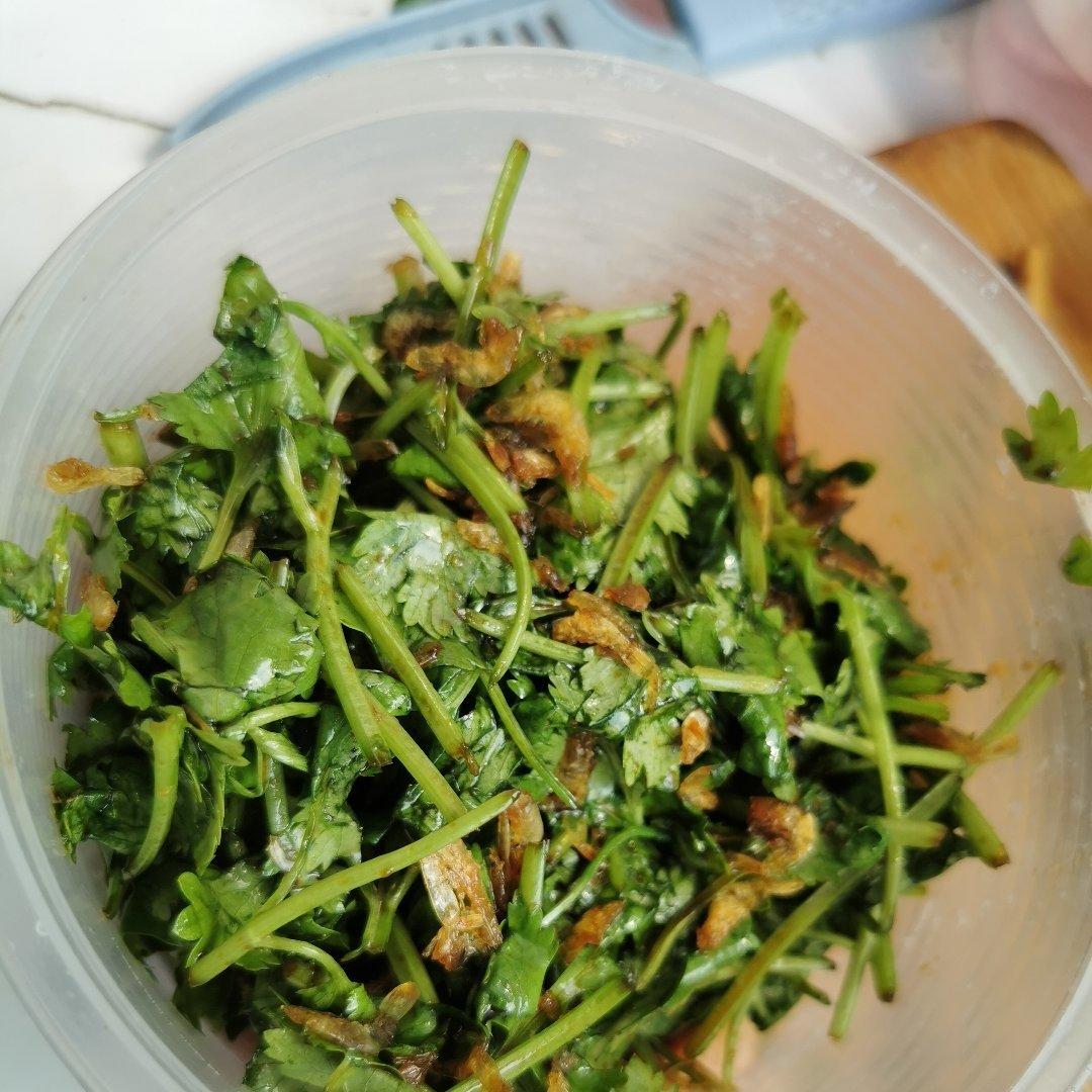 0难度菜！凉拌虾皮香菜