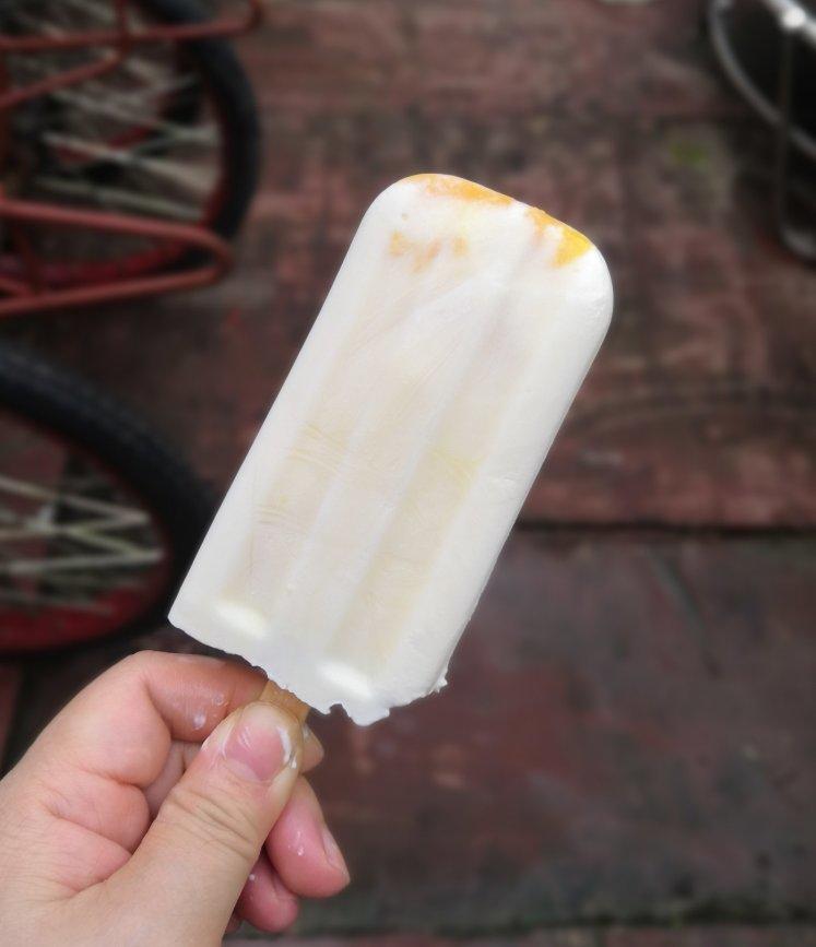 最简单快手的雪糕——酸奶雪糕（附变化版本）