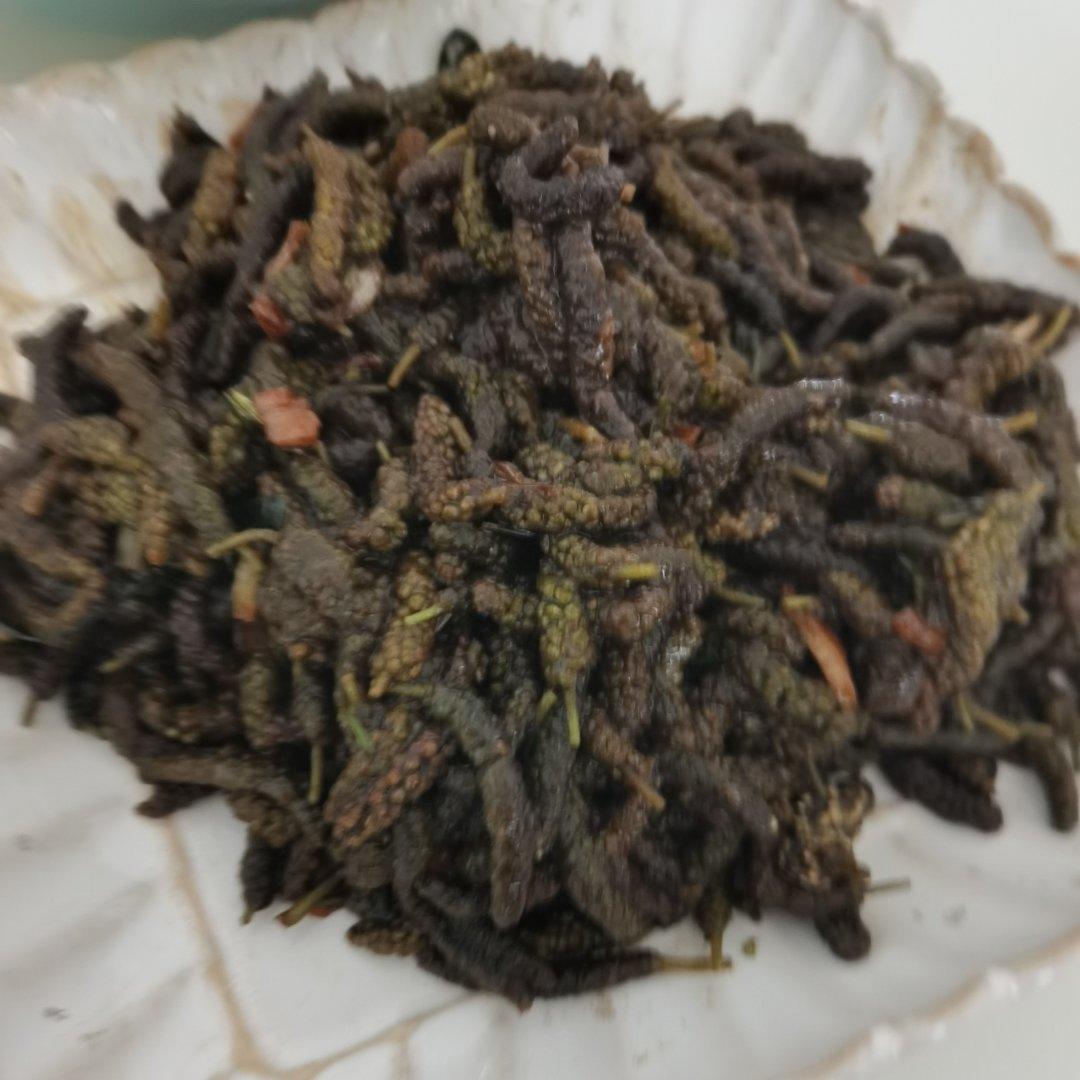 构树穗&楮不楸
