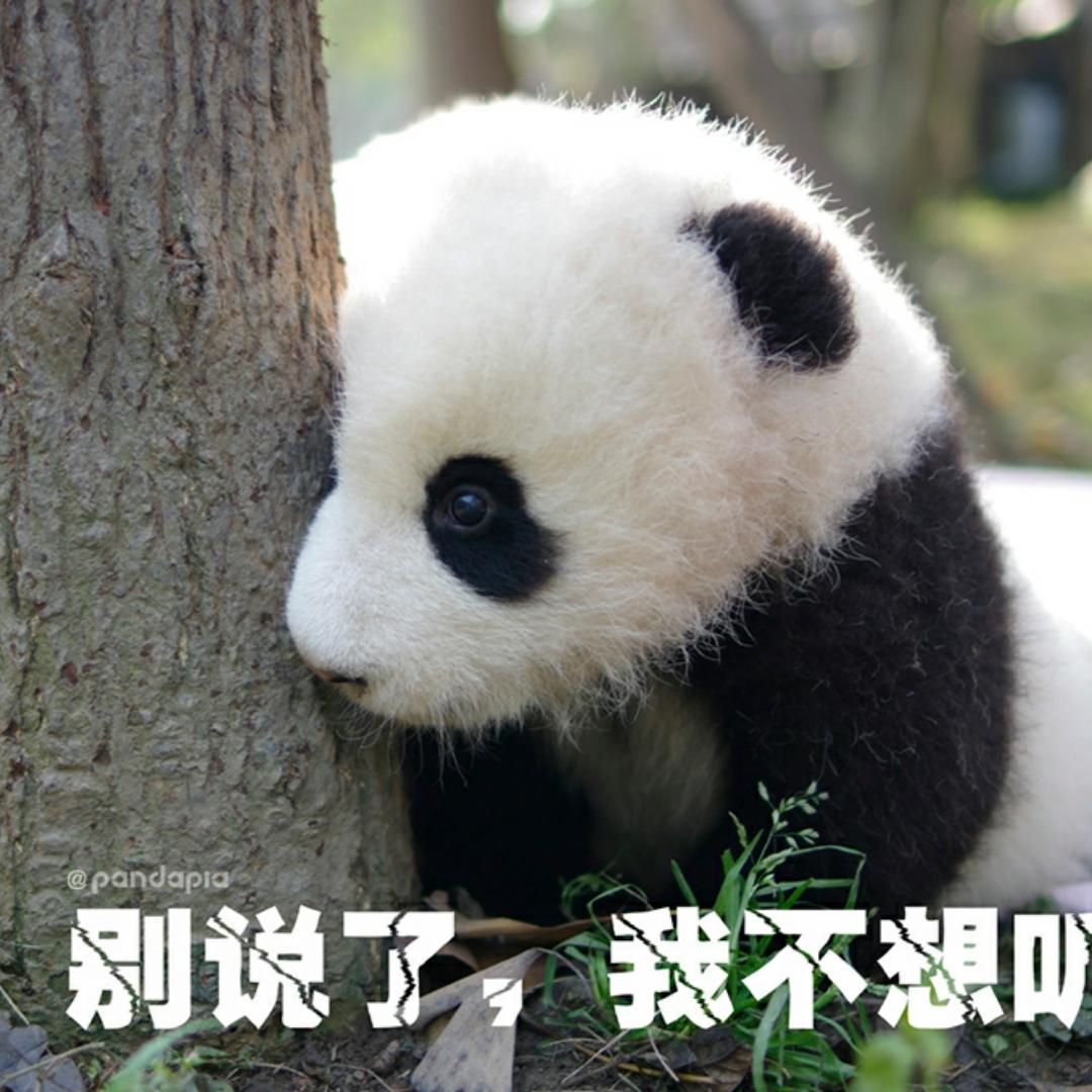 渣渣都没了