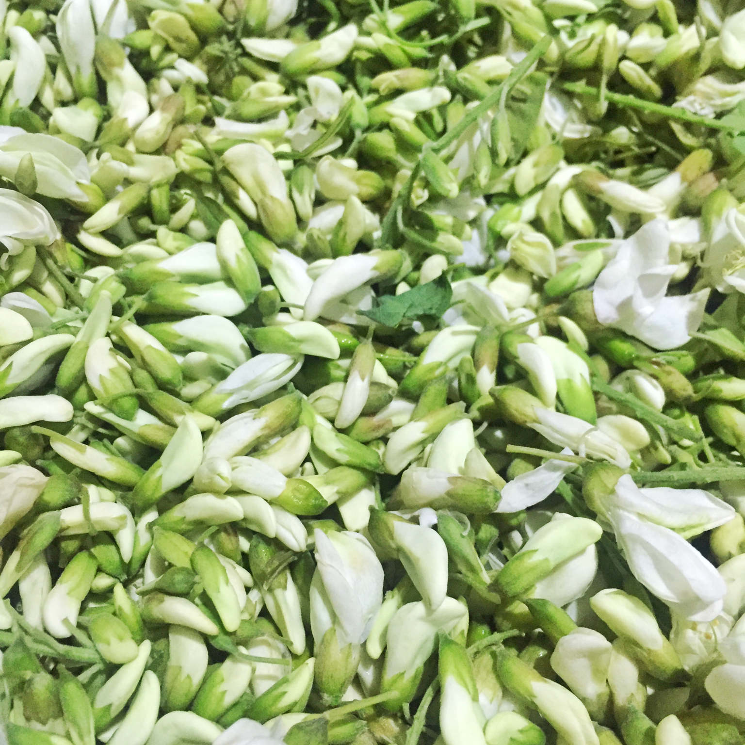 槐花香饼