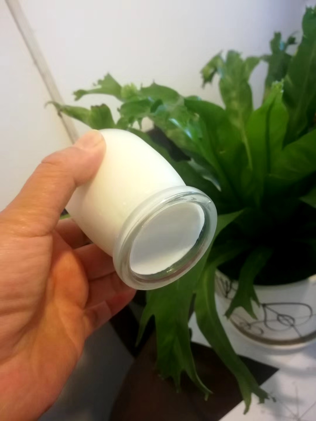 超简单——发酵箱自制酸奶的做法