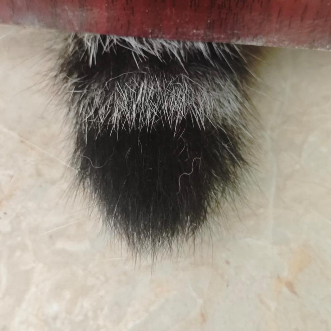 姥箱子