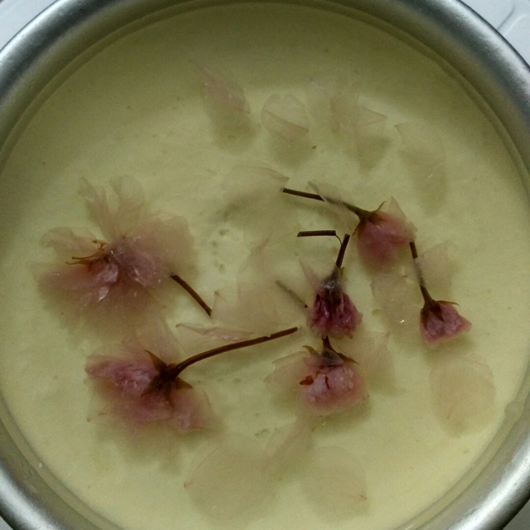 🌸樱花冻芝士蛋糕🌸6寸