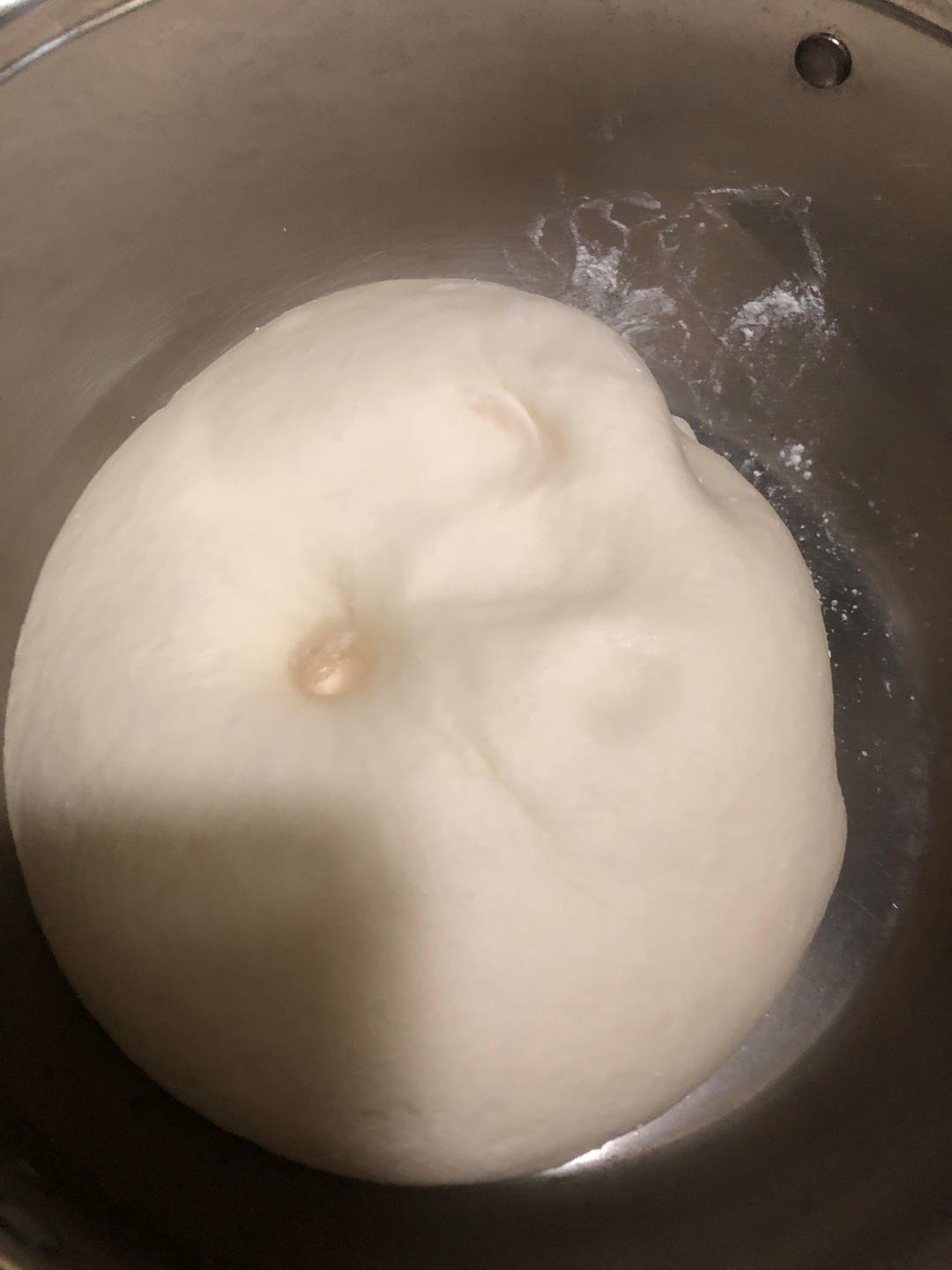 雪菜鲜肉包子