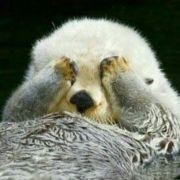 罗雪艺要抵抗拖延症