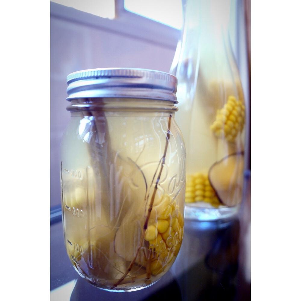 生命三要素--阳光空气下午茶