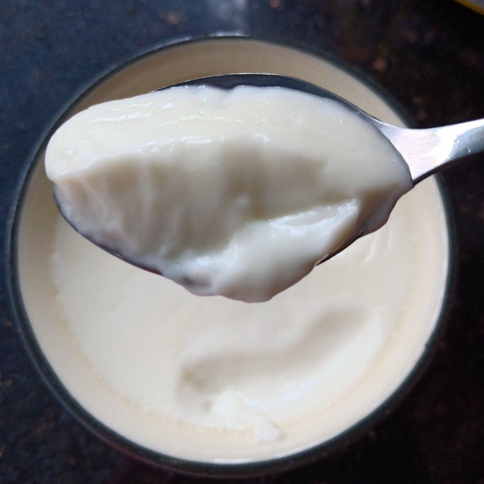 双皮奶（简版）