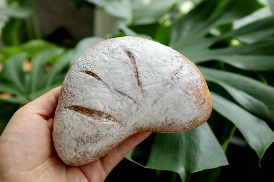 撸面包🍞