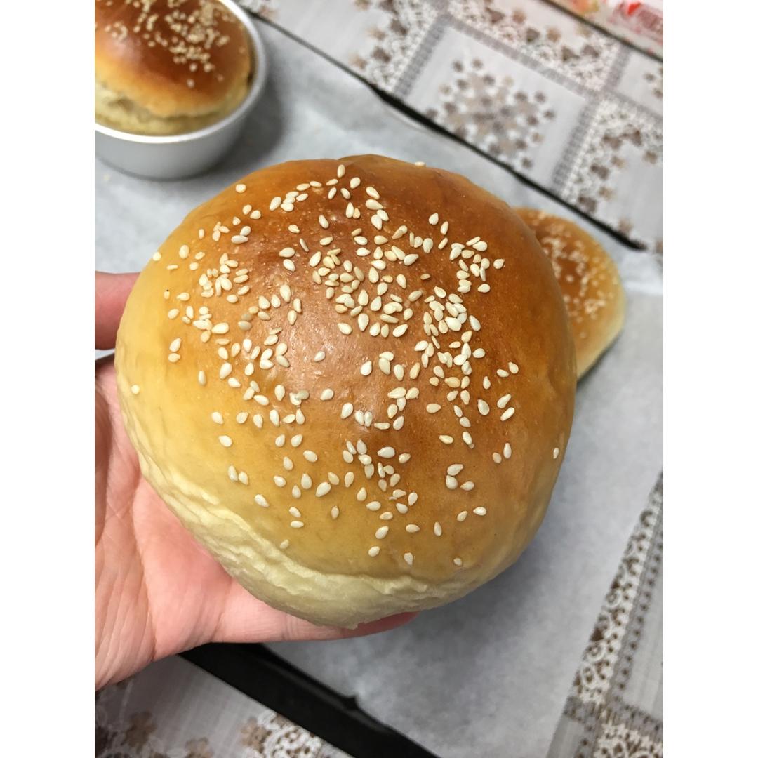 汉堡胚（中种法）