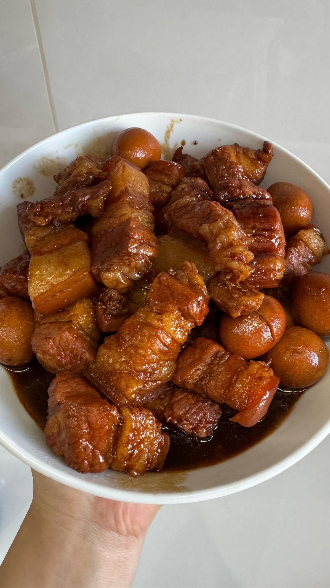 红烧肉（电饭锅）的做法