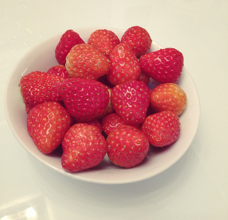 今冬第一颗草莓