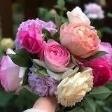 清淡如茶的厨房