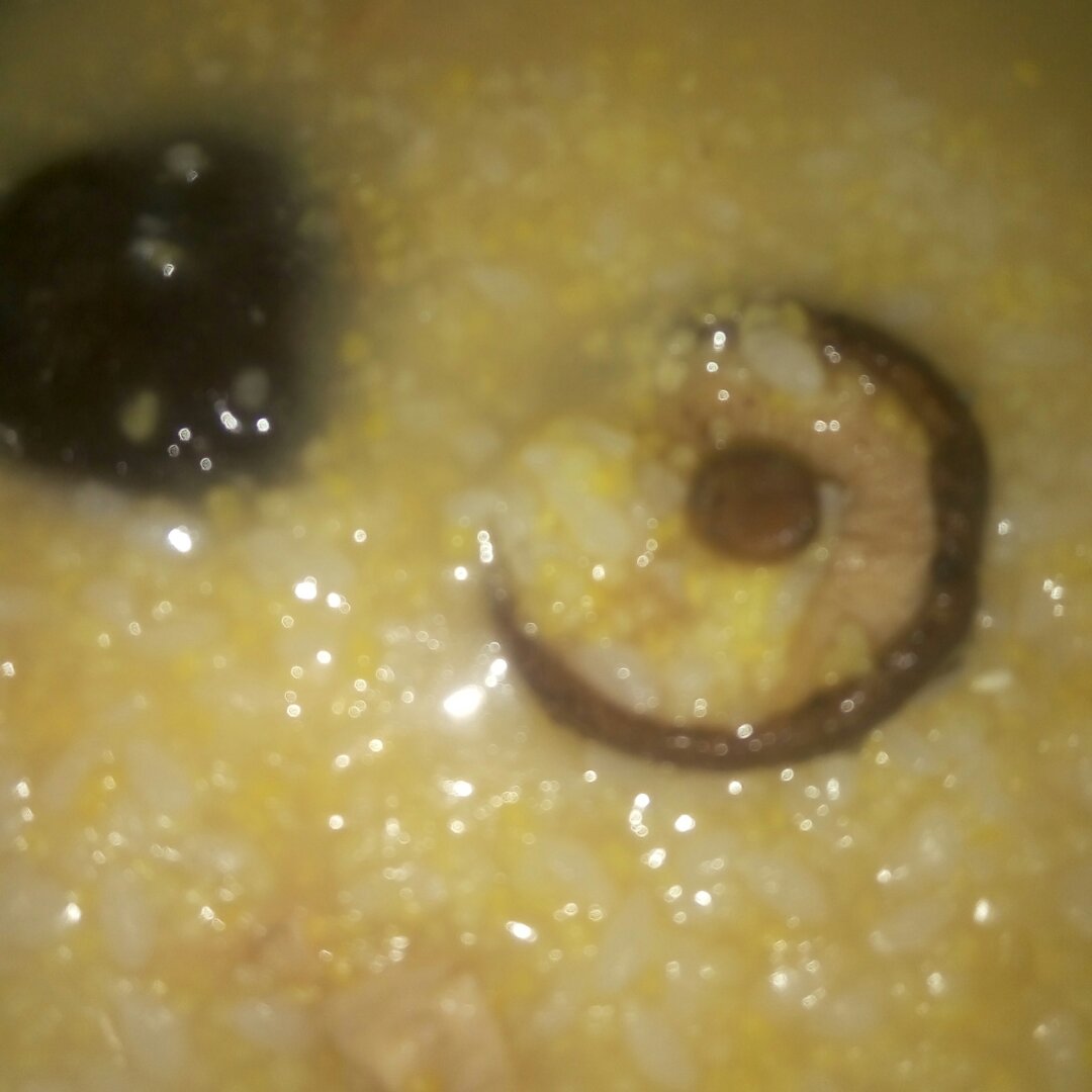 鸡肉粥
