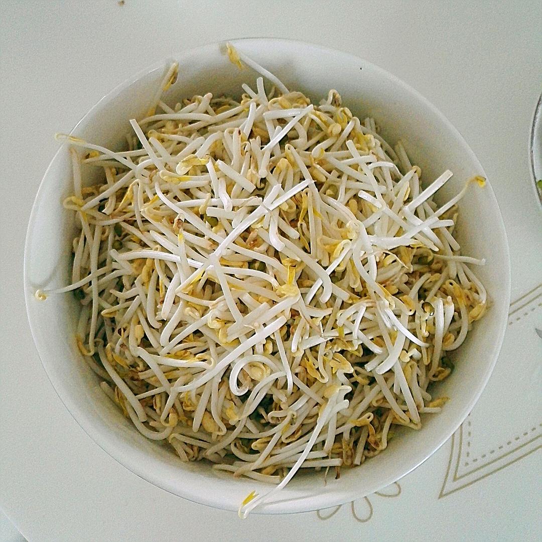 自发豆芽（可乐瓶发豆芽0失败！）