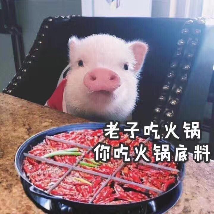 起名字好难啊啊