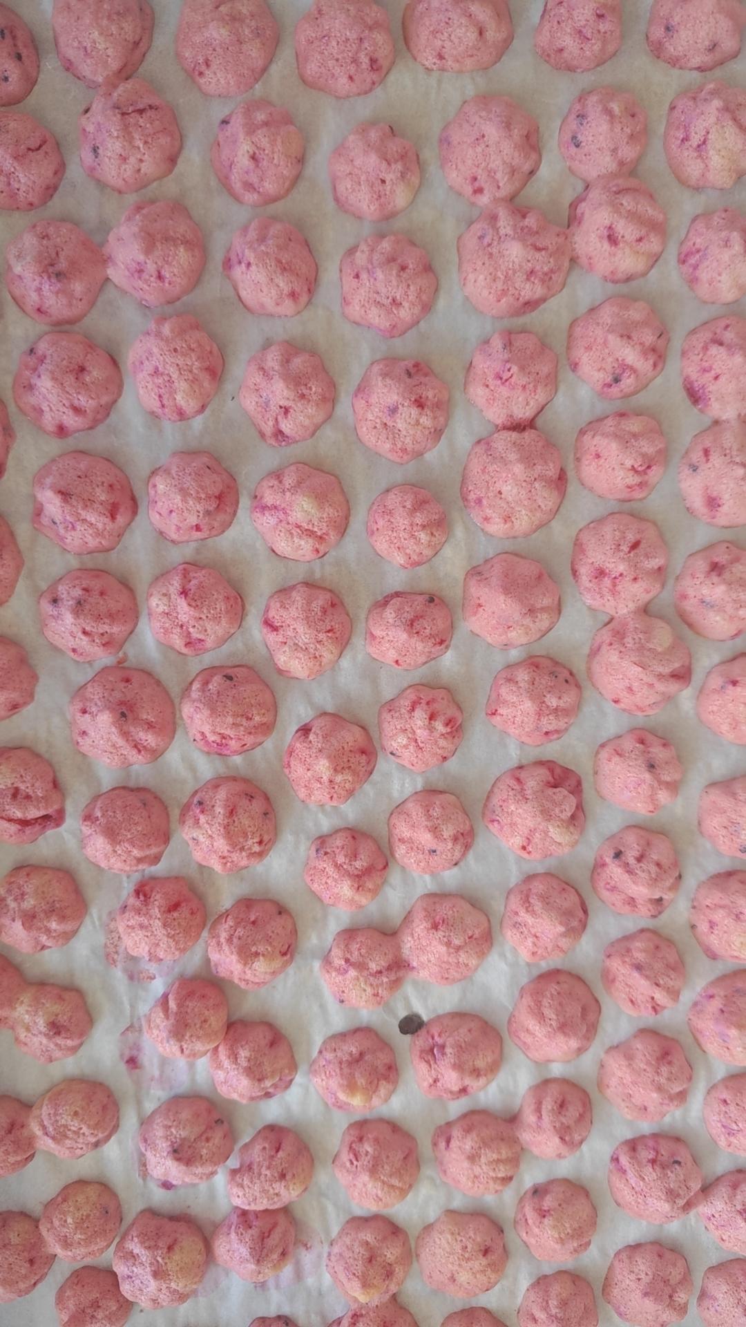 无糖溶豆 手工溶豆自制宝宝溶豆酸奶溶豆～各种水果味