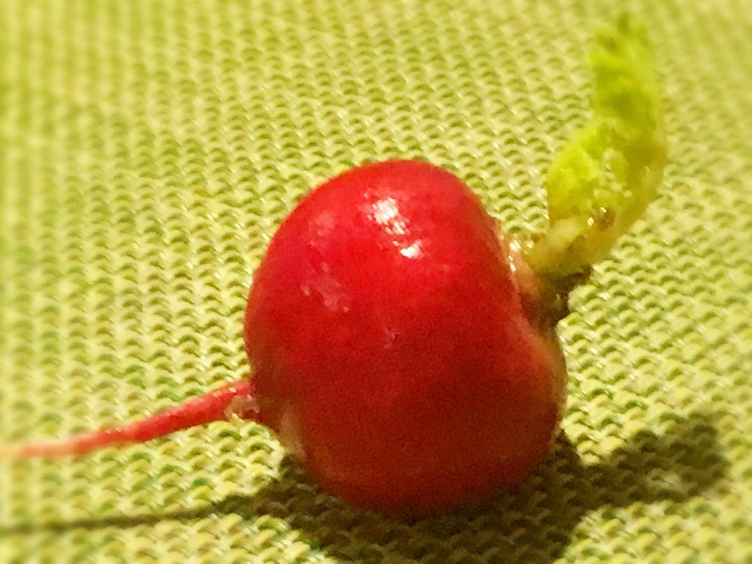 🎸爱上下厨房（蔬菜盘饰拼盘摆盘）