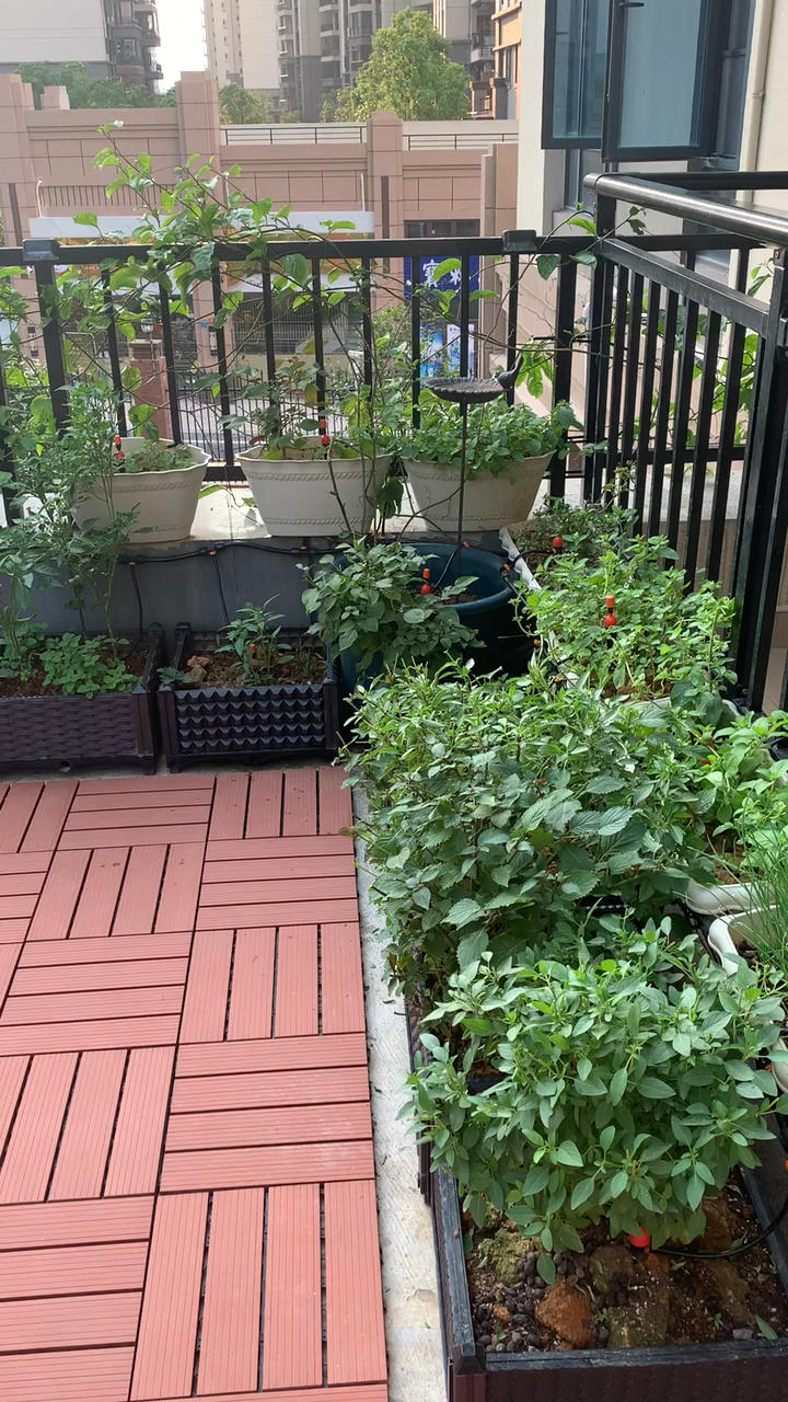 Flower Language·花の语