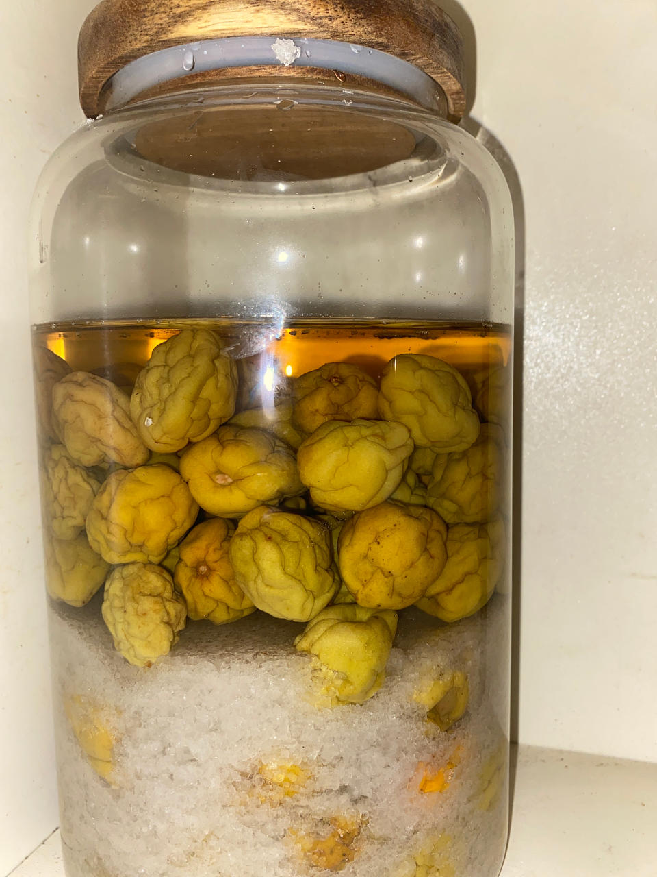 青梅的四种做法🌟保姆级教程【青梅酒、青梅露、盐渍青梅、青梅酱】