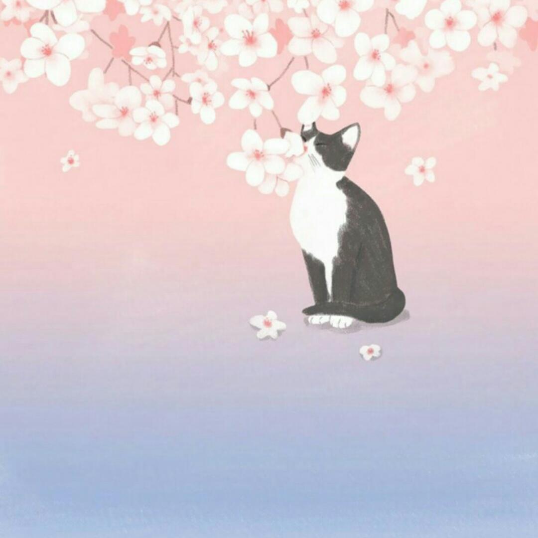 小馋猫花卷