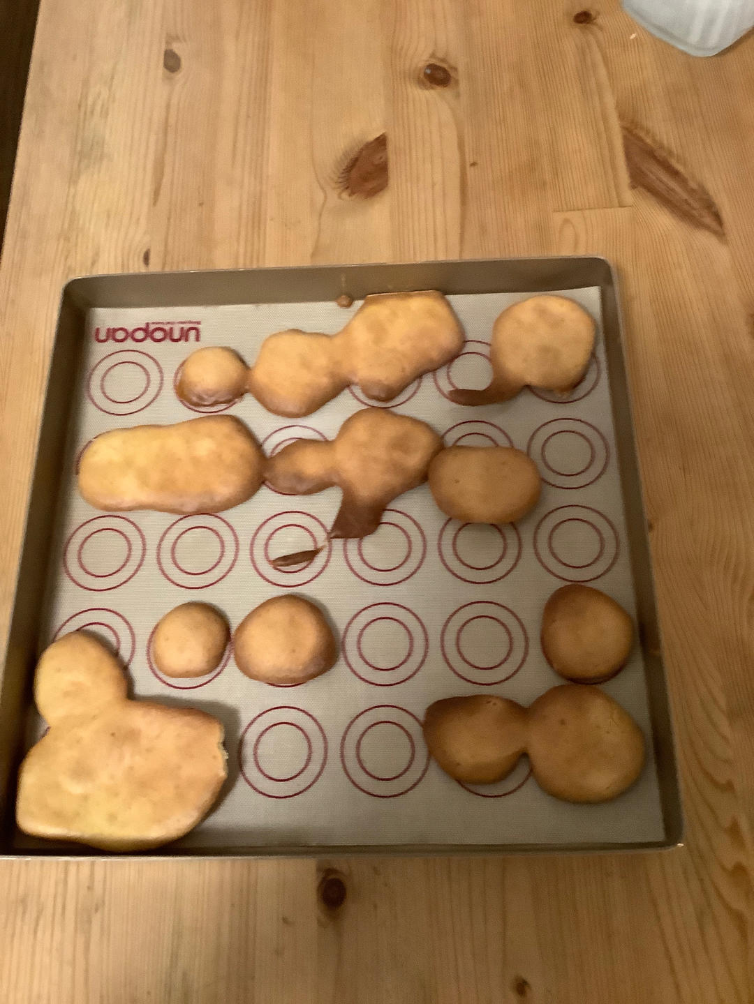 鸡蛋饼干
