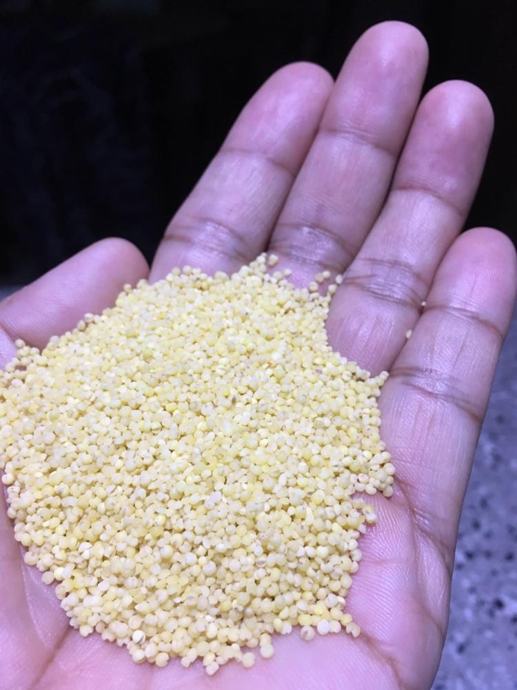 奶香小米粥【豆浆机版】